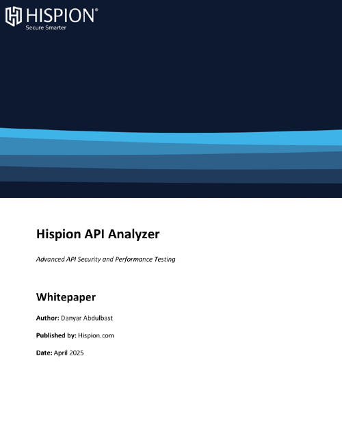 Hispion API Analyzer Whitepaper